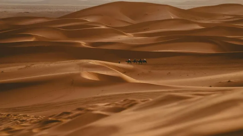 Sahara Marathon 2026 – Marathon 42 km